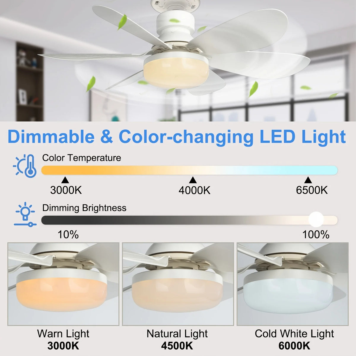 Screw-In Remote Ceiling Fan & Light