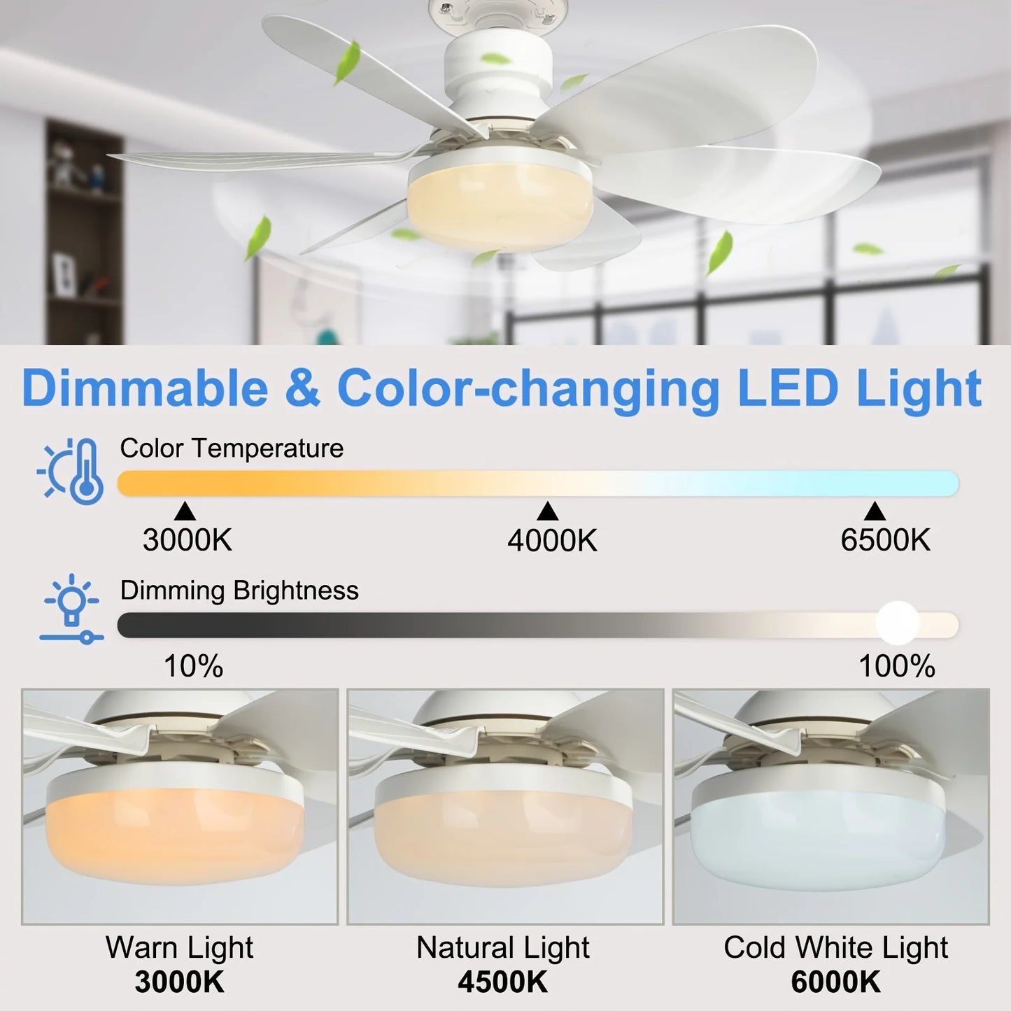 Screw-In Remote Ceiling Fan & Light