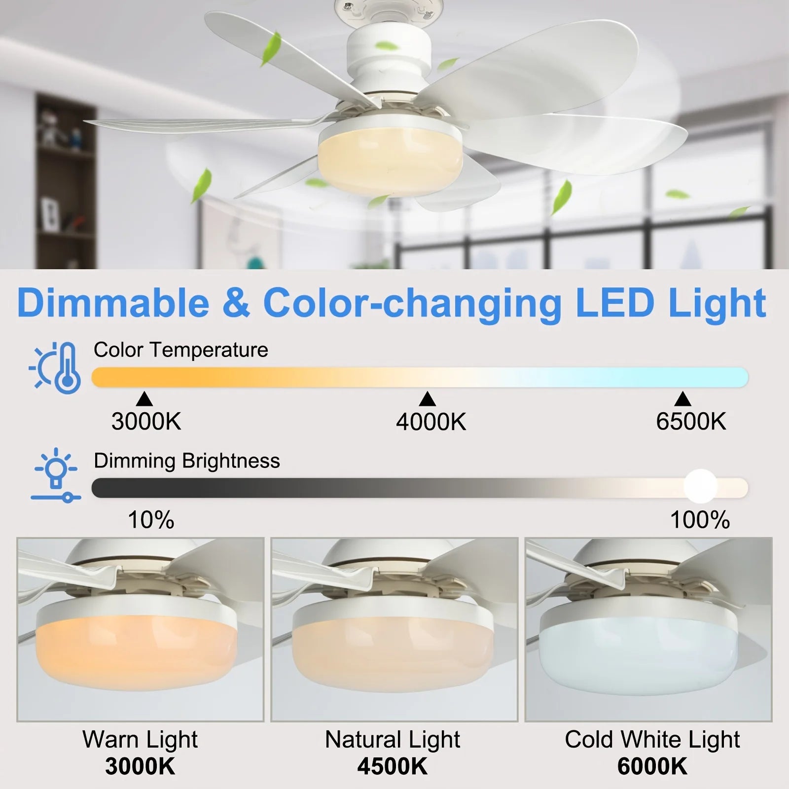 Screw-In Remote Ceiling Fan & Light