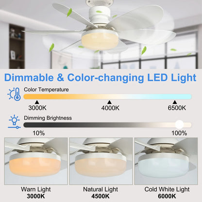 Screw-In Remote Ceiling Fan & Light
